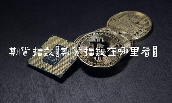 期货指数(期货指数在哪里看)