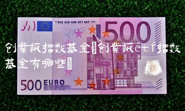 创业板指数基金(创业板etf指数基金有哪些)