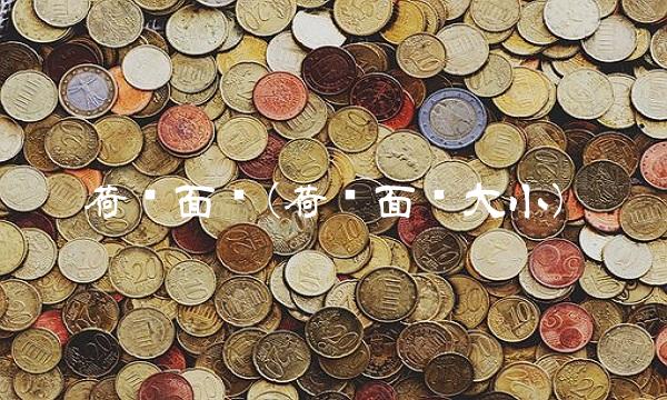 荷兰面积(荷兰面积大小)