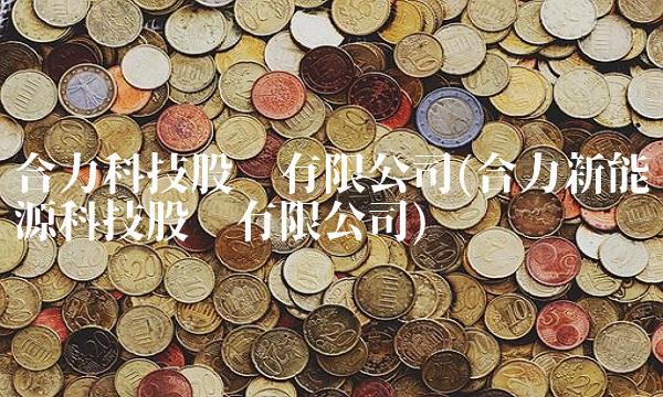 合力科技股份有限公司(合力新能源科技股份有限公司)