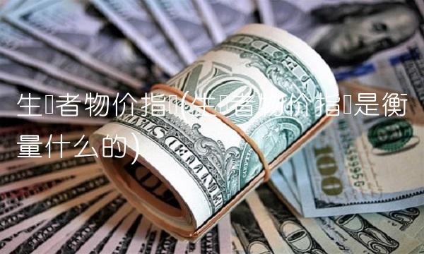 生产者物价指数(生产者物价指数是衡量什么的)