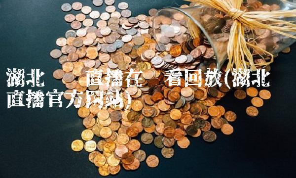 湖北经视在哪看回放(湖北经视官方网站)