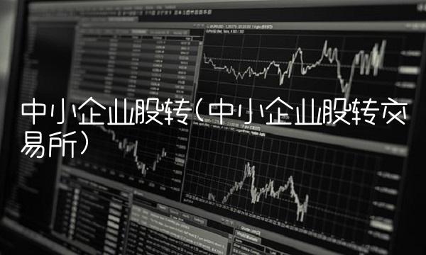 中小企业股转(中小企业股转交易所)