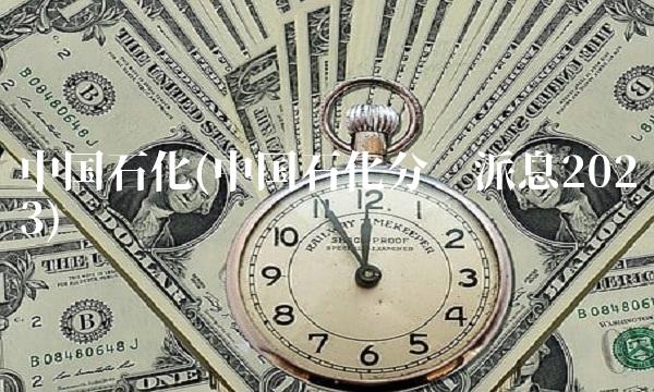 **石化(**石化分红派息2023)