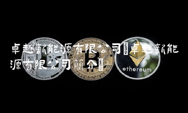 **新能源有限公司(**新能源有限公司简介)