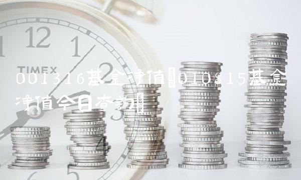 001316基金净值(010815基金净值今日查询)