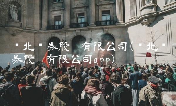 东北证券股份有限公司(东北证券股份有限公司app)