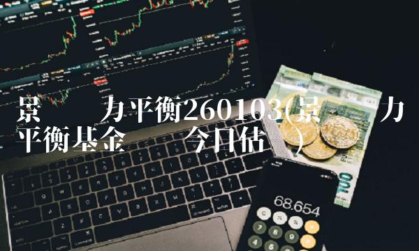 景顺动力平衡260103(景顺动力平衡基金净值今日估值)