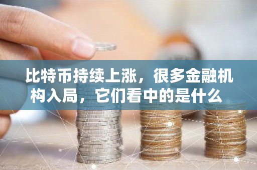 比特币持续上涨,很多金融机构入局,它们看中的是什么 比特交易加速软件 比特币持续上涨,很多金融机构入局,它们看中的是什么 比特交易加速软件