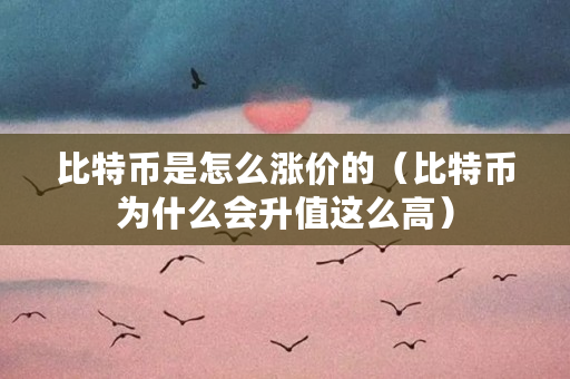 比特币是怎么涨价的（比特币为什么会升值这么高）