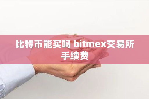 比特币能买吗 bitmex<a href=https://www.globetech.com.cn/news/299028.html target=_blank class=infotextkey>交易所</a>手续费