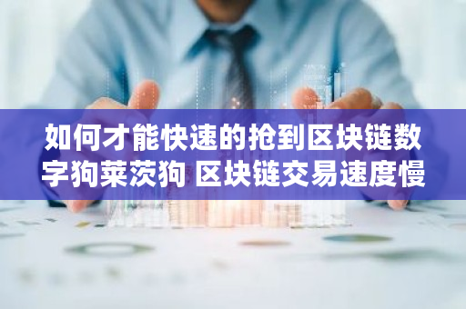 如何才能快速的抢到区块链数字狗莱茨狗 区块链交易速度慢 如何才能快速的抢到区块链数字狗莱茨狗 区块链交易速度慢