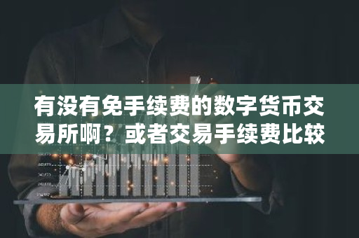 有没有免手续费的数字货币交易所啊？或者交易手续费比较低的交易所 bithumb交易平台**