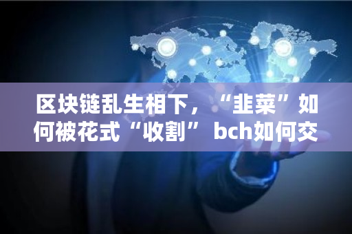 区块链乱生相下，“韭菜”如何被花式“收割” bch如何交易