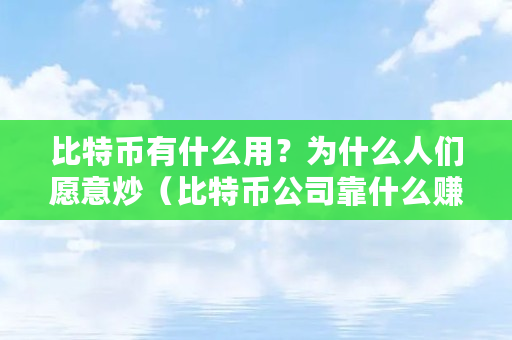 比特币有什么用？为什么人们愿意炒（比特币公司靠什么赚钱的）