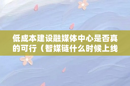 低成本建设融媒体**是否真的可行（智媒链什么时候上线的）