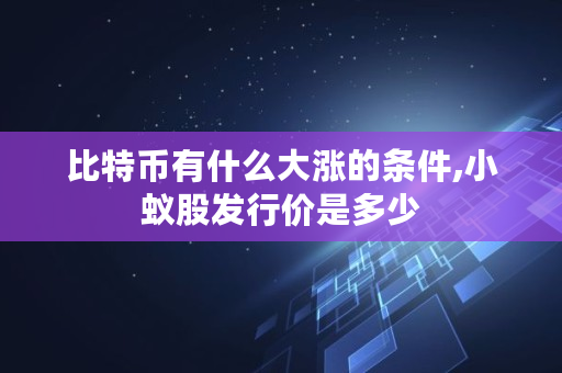 比特币有什么大涨的条件,小蚁股发行价是多少