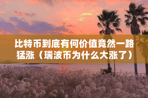 比特币到底有何价值竟然一路猛涨(瑞波币为什么大涨了) 比特币到底有何价值竟然一路猛涨(瑞波币为什么大涨了)