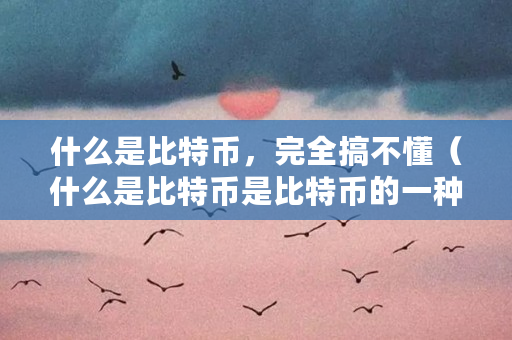 什么是比特币，**搞不懂（什么是比特币是比特币的一种）