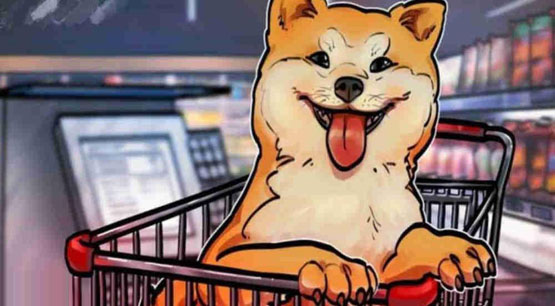 AKITA币值得投资吗？还会**吗？