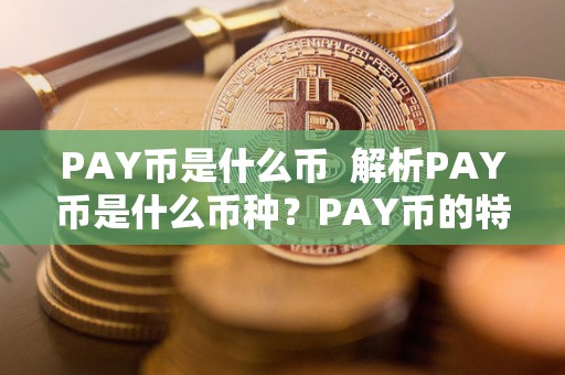 PAY币是什么币 解析PAY币是什么币种？PAY币的特点和用途详解