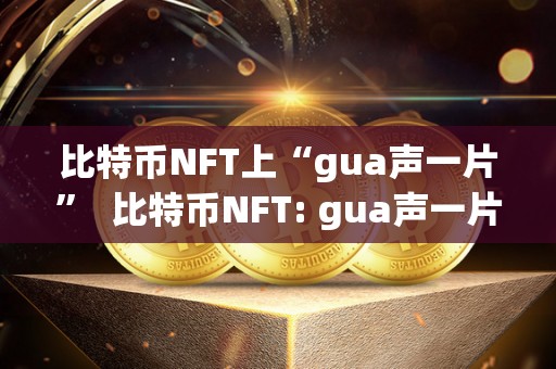 比特币NFT上“gua声一片” 比特币NFT: gua声一片，探讨比特币 sha加密算法的重要性