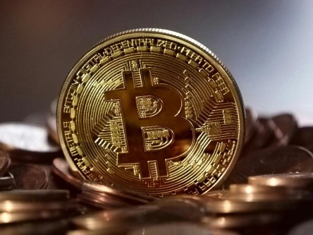 太子比特币最新信息