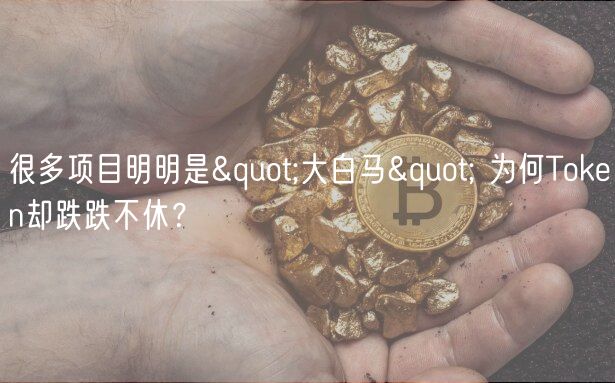 很多项目明明是"大白马" 为何Token却跌跌不休？-**张图片-binance下载