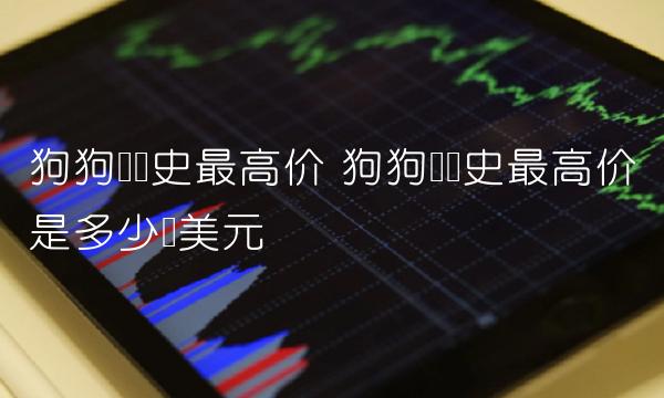 狗狗币历史**价是多少钱美元-**张图片-binance下载
