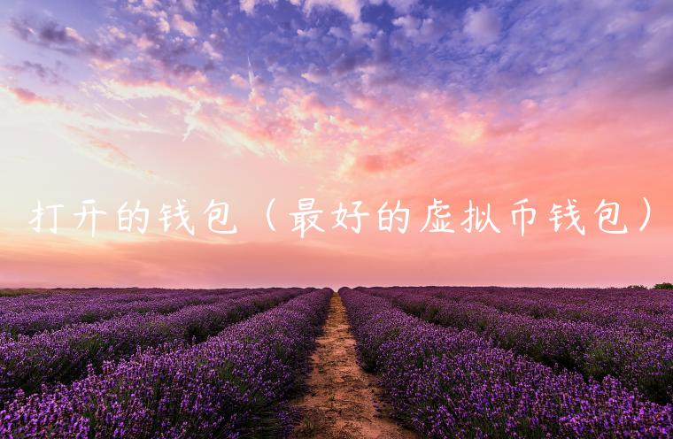 打开的钱包（**的虚拟币钱包）-**张图片-binance下载