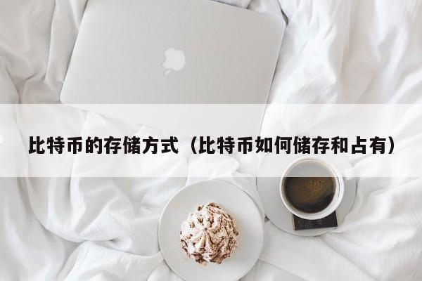 比特币的存储方式(比特币如何储存和占有)