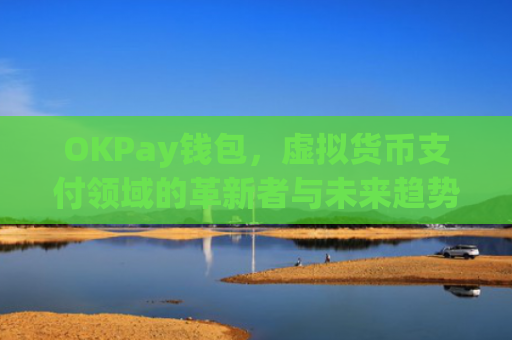 OKPay钱包，虚拟货币支付领域的革新者与未来趋势_okpay钱包是正规平台吗