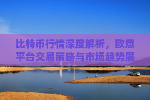比特币行情深度解析，欧意平台交易策略与市场趋势展望_比特币行情实时欧元