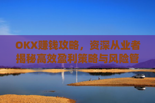 OKX赚钱攻略，资深从业者揭秘**盈利策略与风险管理_okx赚钱图片