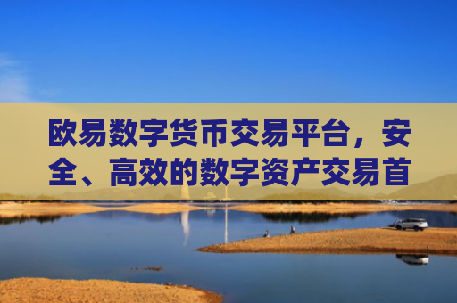 欧易数字货币交易平台，安全、**的数字资产交易**_