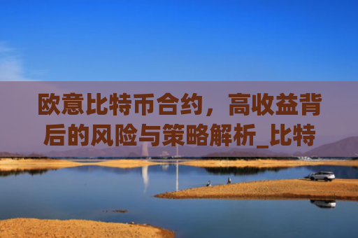 欧意比特币合约，高收益背后的风险与策略解析_比特币合约omex
