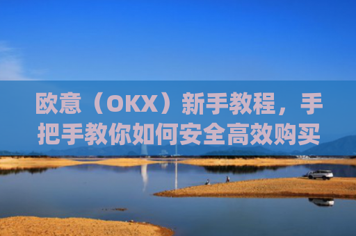 欧意（OKX）新手教程，手把手教你如何安全**购买数字货币_