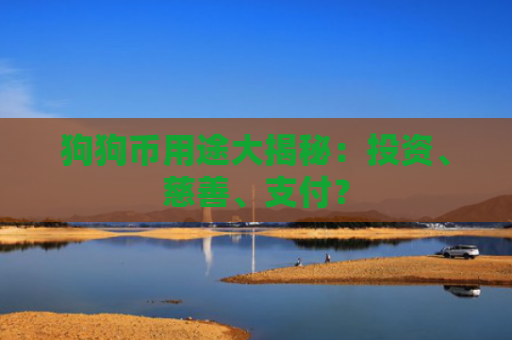 狗狗币用途大揭秘：投资、慈善、支付？