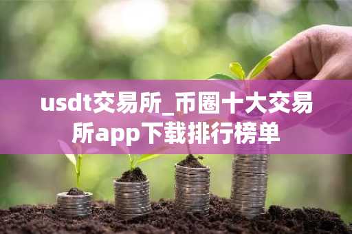 usdt交易所_币圈十大交易所app下载排行榜单