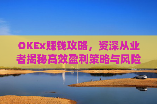 OKEx赚钱攻略，资深从业者揭秘**盈利策略与风险管理_okex一年赚多少钱