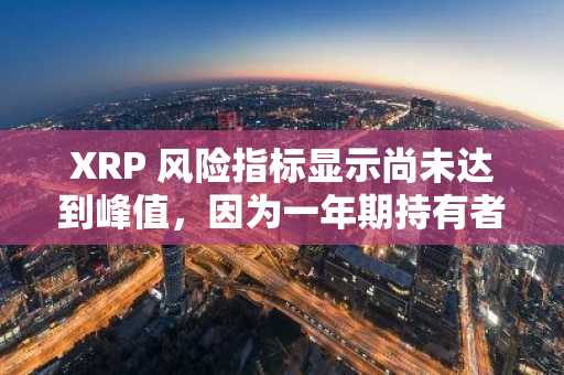 XRP 风险指标显示尚未达到峰值，因为一年期持有者可享受 5.16 倍的投资回报率