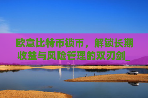 欧意比特币锁币，解锁长期收益与风险管理的双刃剑_欧比特币app