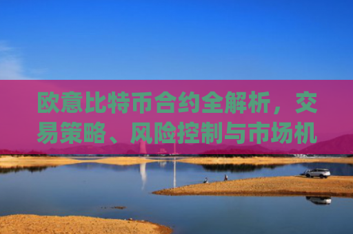 欧意比特币合约全解析，交易策略、风险控制与市场机遇_欧比特合约交易所