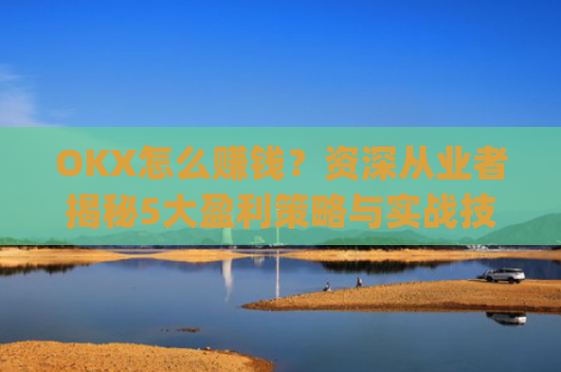 OKX怎么赚钱？资深从业者揭秘5大盈利策略与实战技巧_ok平台怎么赚钱