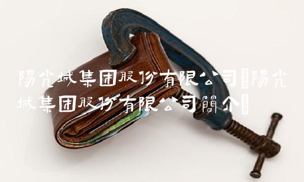 阳光城集团股份有限公司(阳光城集团股份有限公司简介) 阳光城集团股份有限公司(阳光城集团股份有限公司简介)