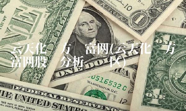 云天化东方财富网(云天化东方财富网股吧分析讨论区)