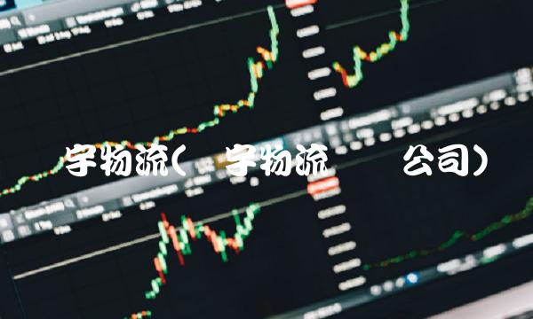 环宇物流(环宇物流运输公司)