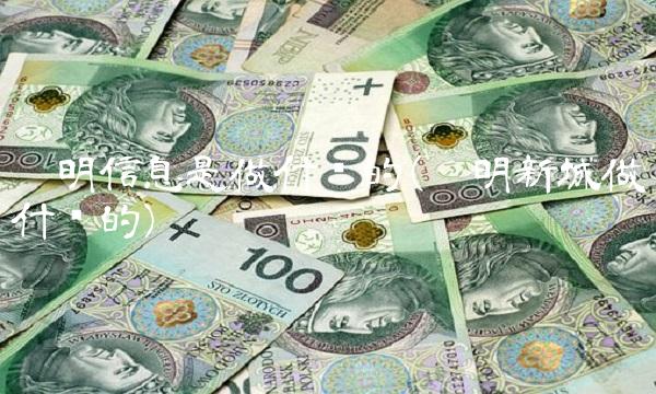 启明信息是做什么的(启明新城做什么的)