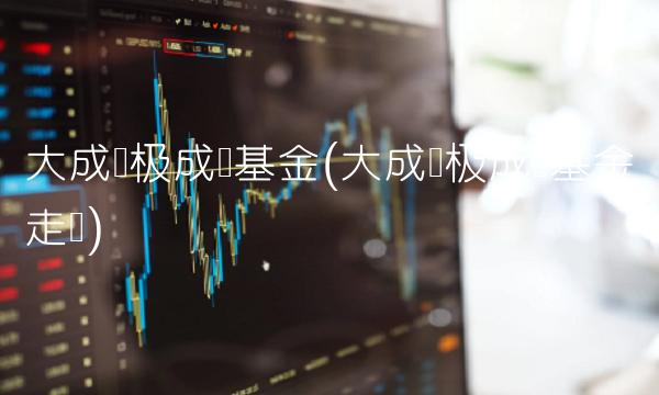 大成积极成长基金(大成积极成长基金走势)