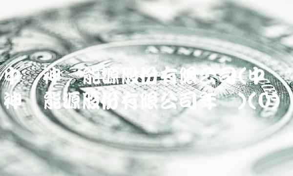 **神华能源股份有限公司(**神华能源股份有限公司年报)(0)